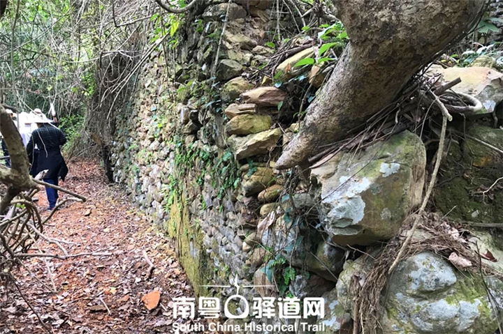 win007足球即时比分