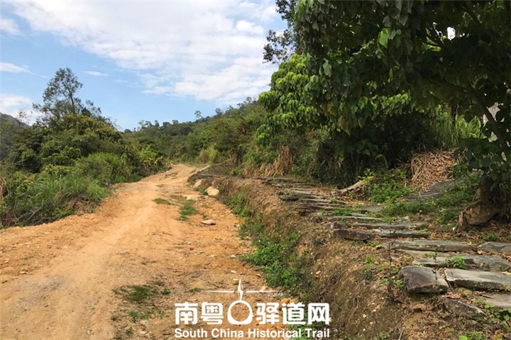 win007足球即时比分