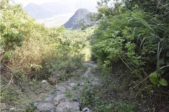 win007足球即时比分