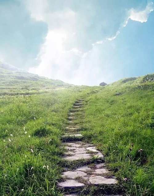 win007足球即时比分