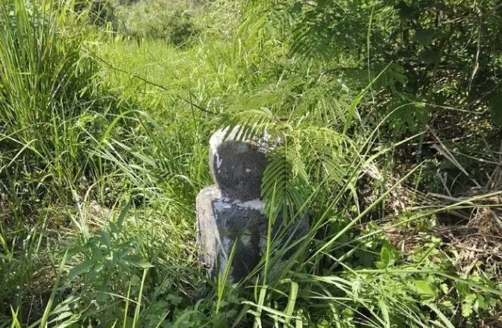 win007足球即时比分