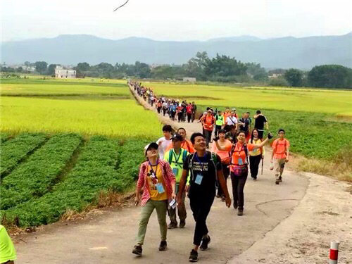 win007足球即时比分