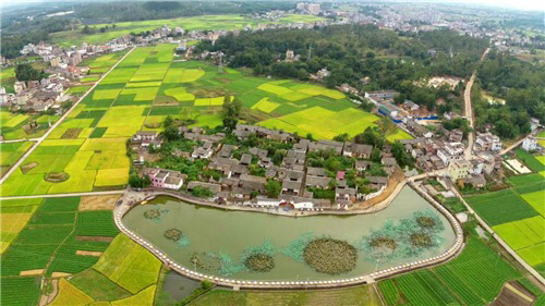 win007足球即时比分